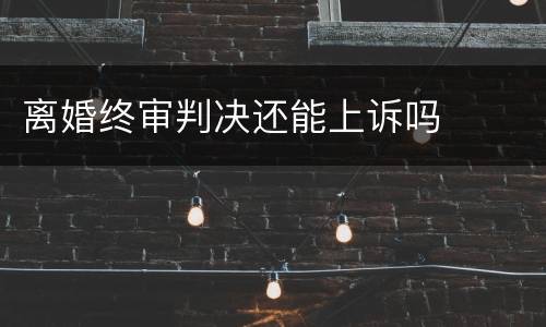 离婚终审判决还能上诉吗