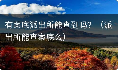 有案底派出所能查到吗？（派出所能查案底么）