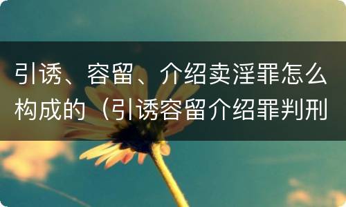 引诱、容留、介绍卖淫罪怎么构成的（引诱容留介绍罪判刑较轻）