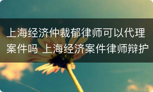 上海经济仲裁郁律师可以代理案件吗 上海经济案件律师辩护律师
