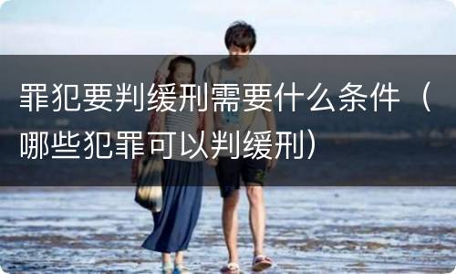 罪犯要判缓刑需要什么条件（哪些犯罪可以判缓刑）