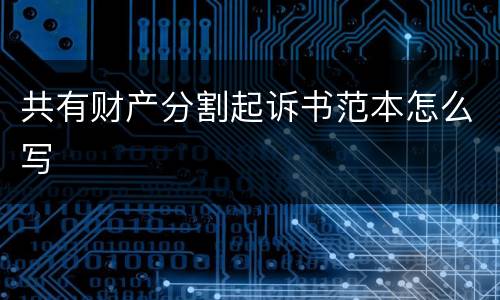 共有财产分割起诉书范本怎么写