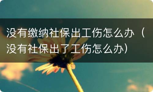 没有缴纳社保出工伤怎么办（没有社保出了工伤怎么办）