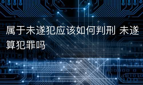 属于未遂犯应该如何判刑 未遂算犯罪吗