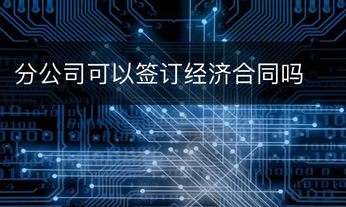 分公司可以签订经济合同吗
