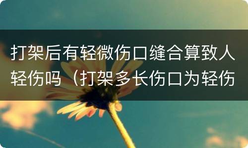 打架后有轻微伤口缝合算致人轻伤吗（打架多长伤口为轻伤）