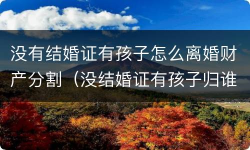 没有结婚证有孩子怎么离婚财产分割（没结婚证有孩子归谁）