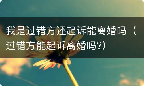 我是过错方还起诉能离婚吗（过错方能起诉离婚吗?）