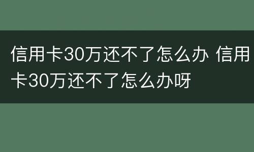 信用卡30万还不了怎么办 信用卡30万还不了怎么办呀