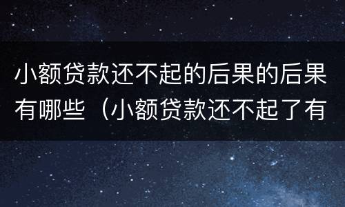 小额贷款还不起的后果的后果有哪些（小额贷款还不起了有什么后果）