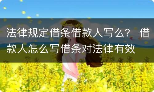 法律规定借条借款人写么？ 借款人怎么写借条对法律有效