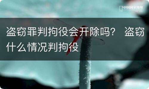 盗窃罪判拘役会开除吗？ 盗窃什么情况判拘役