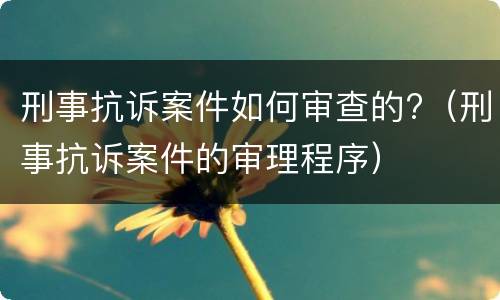 刑事抗诉案件如何审查的?（刑事抗诉案件的审理程序）