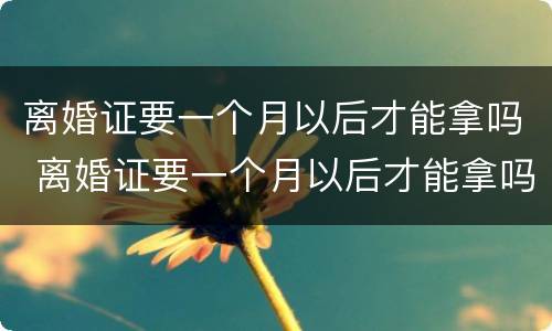 离婚证要一个月以后才能拿吗 离婚证要一个月以后才能拿吗