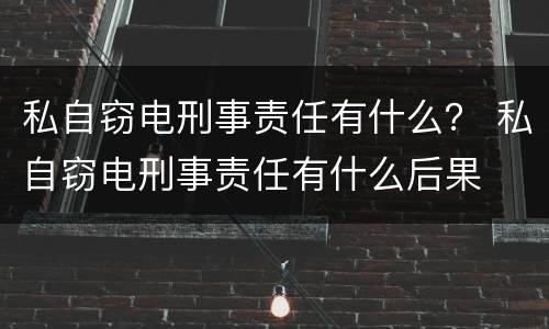 私自窃电刑事责任有什么？ 私自窃电刑事责任有什么后果