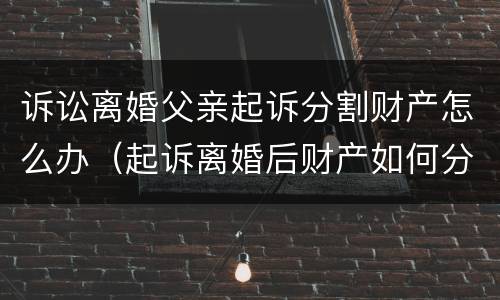 诉讼离婚父亲起诉分割财产怎么办（起诉离婚后财产如何分割）