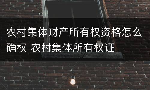 农村集体财产所有权资格怎么确权 农村集体所有权证