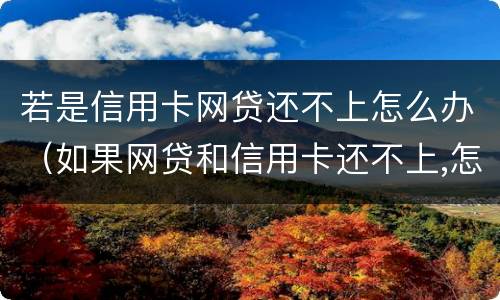 若是信用卡网贷还不上怎么办（如果网贷和信用卡还不上,怎么办）