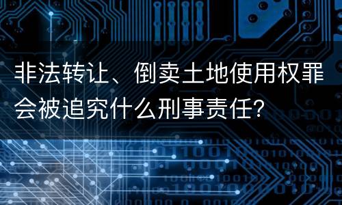 非法转让、倒卖土地使用权罪会被追究什么刑事责任？
