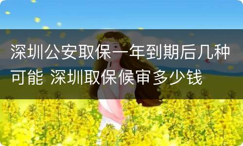 深圳公安取保一年到期后几种可能 深圳取保候审多少钱