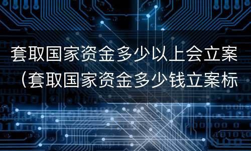 套取国家资金多少以上会立案（套取国家资金多少钱立案标准）