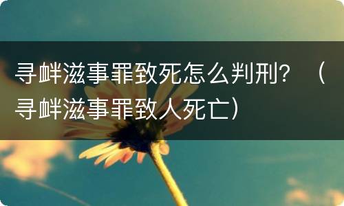 寻衅滋事罪致死怎么判刑？（寻衅滋事罪致人死亡）