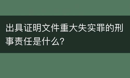 出具证明文件重大失实罪的刑事责任是什么？