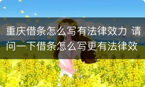 重庆借条怎么写有法律效力 请问一下借条怎么写更有法律效果
