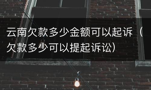 云南欠款多少金额可以起诉（欠款多少可以提起诉讼）