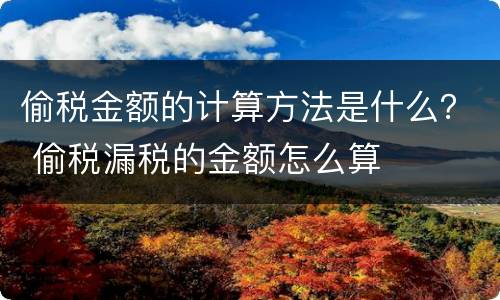 偷税金额的计算方法是什么？ 偷税漏税的金额怎么算