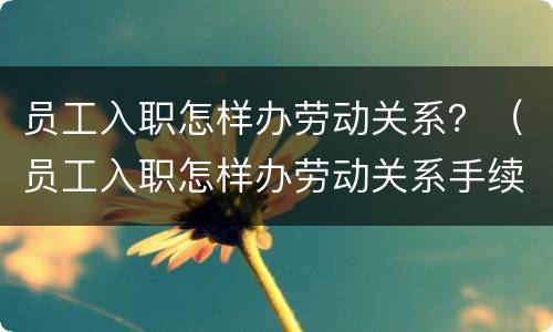 员工入职怎样办劳动关系？（员工入职怎样办劳动关系手续）