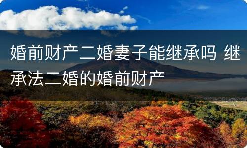婚前财产二婚妻子能继承吗 继承法二婚的婚前财产