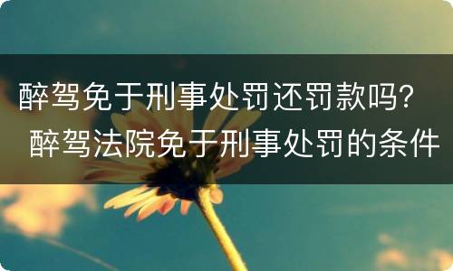 醉驾免于刑事处罚还罚款吗？ 醉驾法院免于刑事处罚的条件