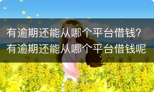 有逾期还能从哪个平台借钱? 有逾期还能从哪个平台借钱呢