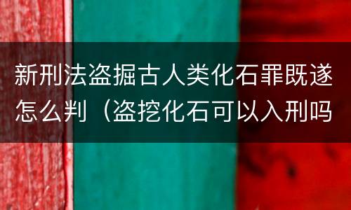 新刑法盗掘古人类化石罪既遂怎么判（盗挖化石可以入刑吗）