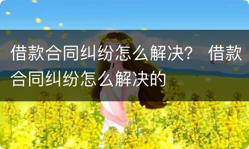 借款合同纠纷怎么解决？ 借款合同纠纷怎么解决的