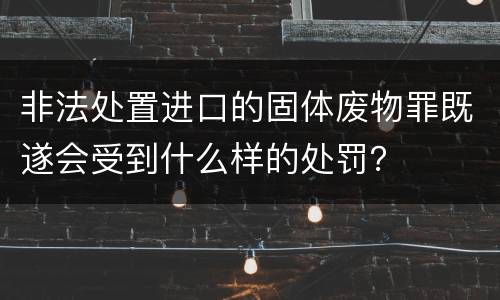 非法处置进口的固体废物罪既遂会受到什么样的处罚？