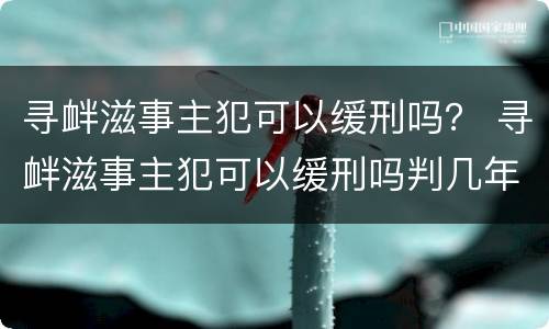 寻衅滋事主犯可以缓刑吗？ 寻衅滋事主犯可以缓刑吗判几年