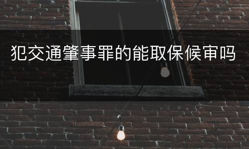 犯交通肇事罪的能取保候审吗