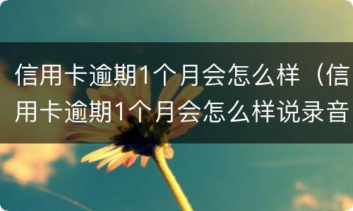 信用卡逾期1个月会怎么样（信用卡逾期1个月会怎么样说录音了）