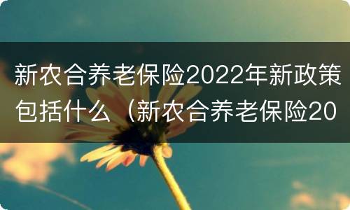 新农合养老保险2022年新政策包括什么（新农合养老保险2022年新政策包括什么项目）