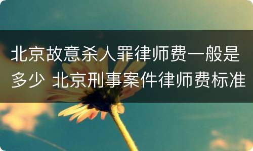 北京故意杀人罪律师费一般是多少 北京刑事案件律师费标准