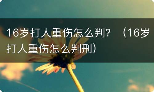 16岁打人重伤怎么判？（16岁打人重伤怎么判刑）