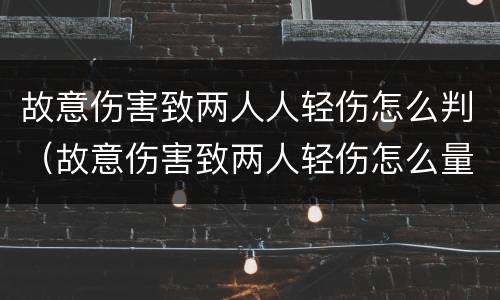 故意伤害致两人人轻伤怎么判（故意伤害致两人轻伤怎么量刑）