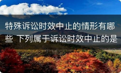 特殊诉讼时效中止的情形有哪些 下列属于诉讼时效中止的是