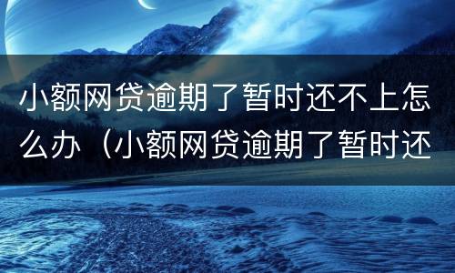 小额网贷逾期了暂时还不上怎么办（小额网贷逾期了暂时还不上怎么办呢）
