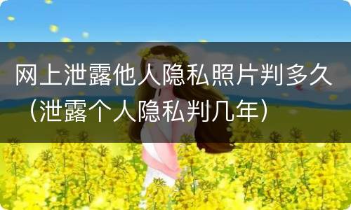 网上泄露他人隐私照片判多久（泄露个人隐私判几年）