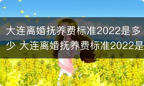 大连离婚抚养费标准2022是多少 大连离婚抚养费标准2022是多少岁