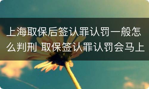 上海取保后签认罪认罚一般怎么判刑 取保签认罪认罚会马上逮捕吗