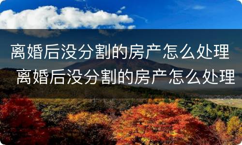 离婚后没分割的房产怎么处理 离婚后没分割的房产怎么处理好